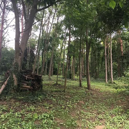 Csillagkert Apartamento Kaposszerdahely